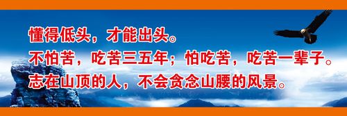 生物质安博电竞燃料折标系数(生物质燃料折标煤)