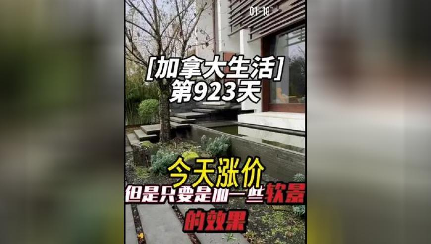 特朗普計劃簽署英語為官方語言的行政命令,2025年香港十二生肖開碼,決策資料解釋落實(shí)_極速版V12.61